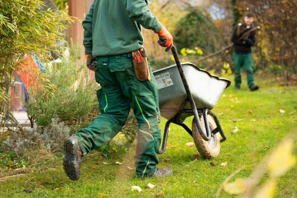 Top 5 astuces pour choisir le meilleur paysagiste à Rueil-Malmaison